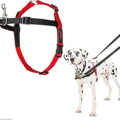 HALTI Front Control Harness – To Stop Your Dog Pulling on the Leash