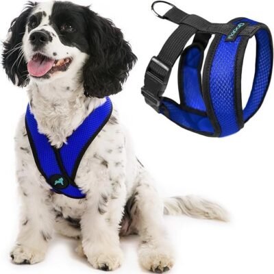 Gooby Comfort X Head in Harness – Blue, Large – No Pull Small Dog Harness